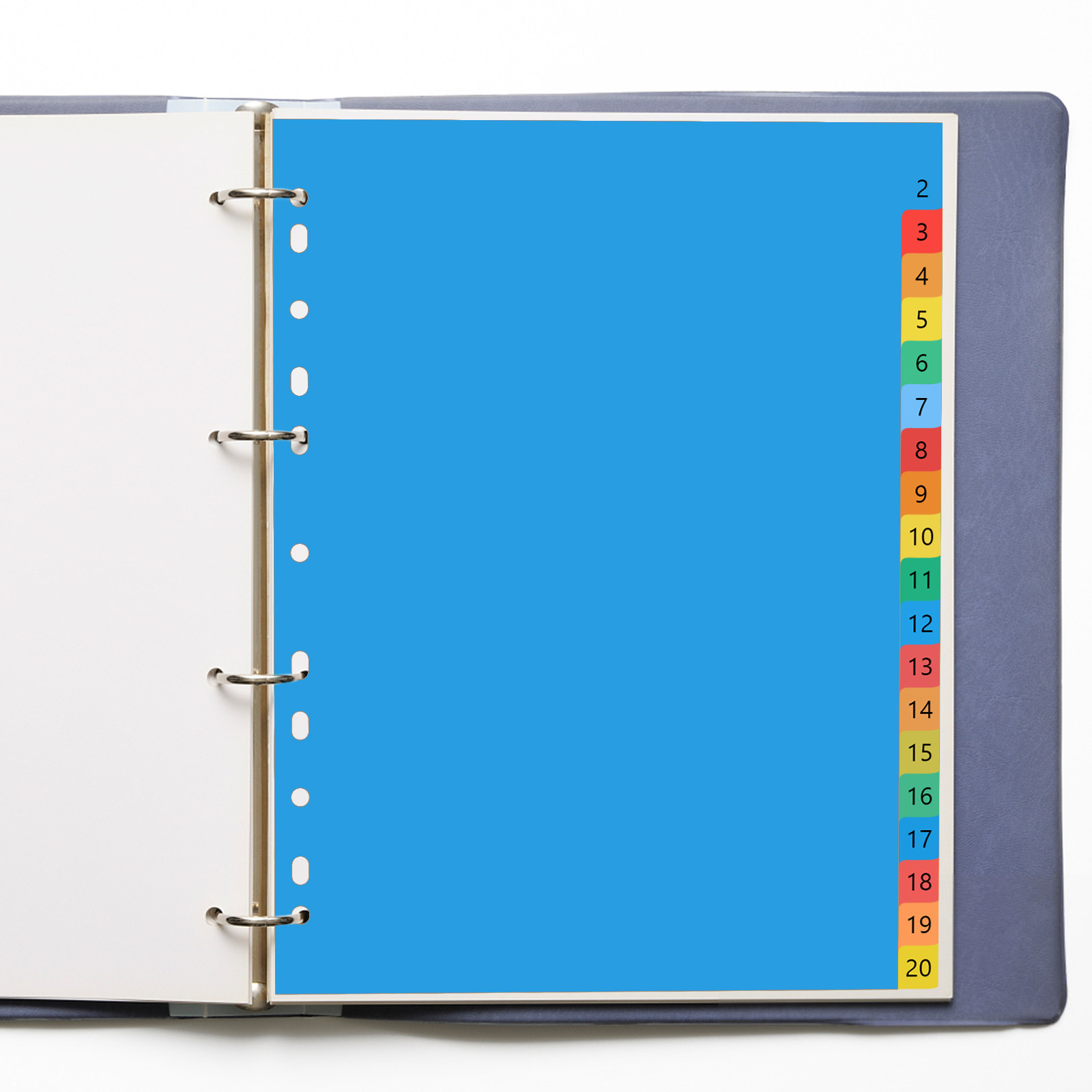 20 Pages A4 Colorful Plastic T - đánh giá và giá Tab Divider A4